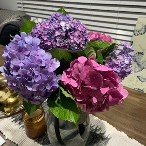 Meet your Posher, Lyn